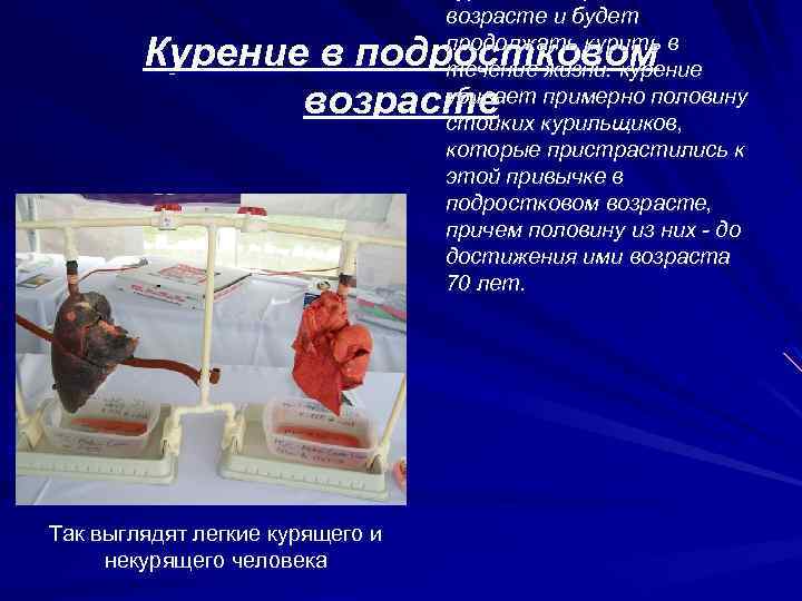 возрасте и будет продолжать курить в течение жизни. курение убивает примерно половину стойких курильщиков,