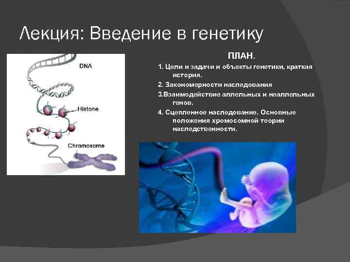 Презентация введение в генетику