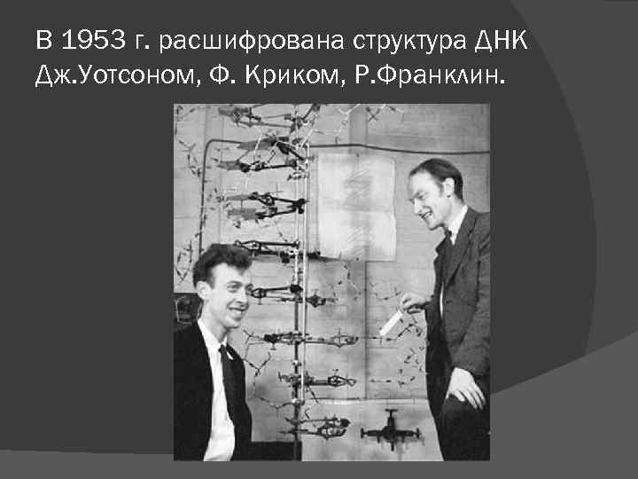 В 1953 г. расшифрована структура ДНК Дж. Уотсоном, Ф. Криком, Р. Франклин. 