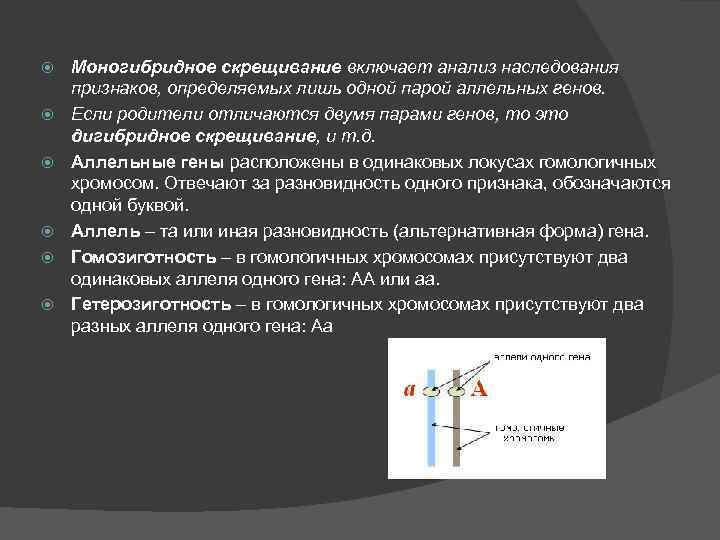  Моногибридное скрещивание включает анализ наследования признаков, определяемых лишь одной парой аллельных генов. Если
