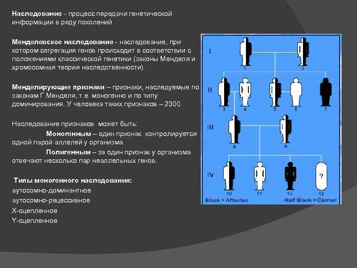 Процессы передачи генетической информации