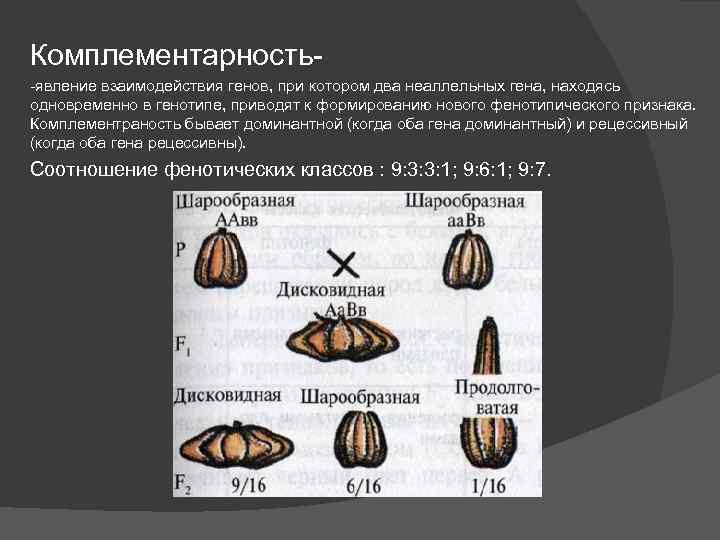 Приведите примеры неаллельных генов