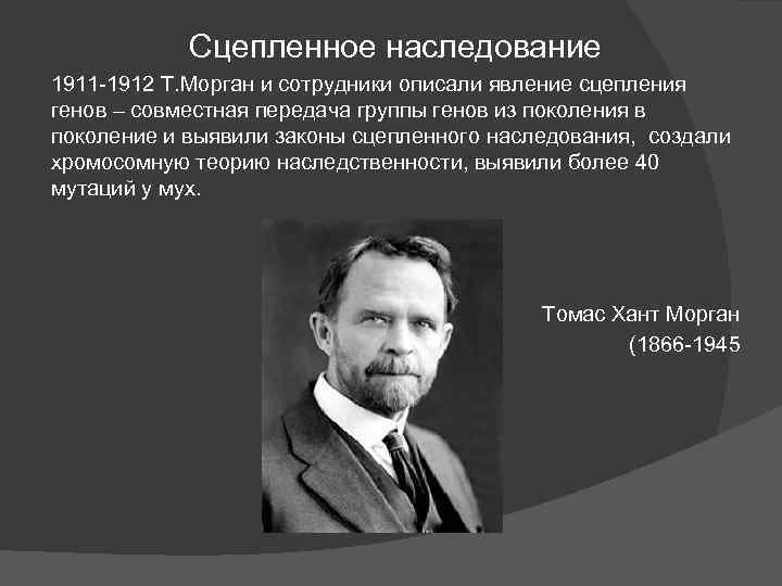 Сцепленное наследование 1911 -1912 Т. Морган и сотрудники описали явление сцепления генов – совместная