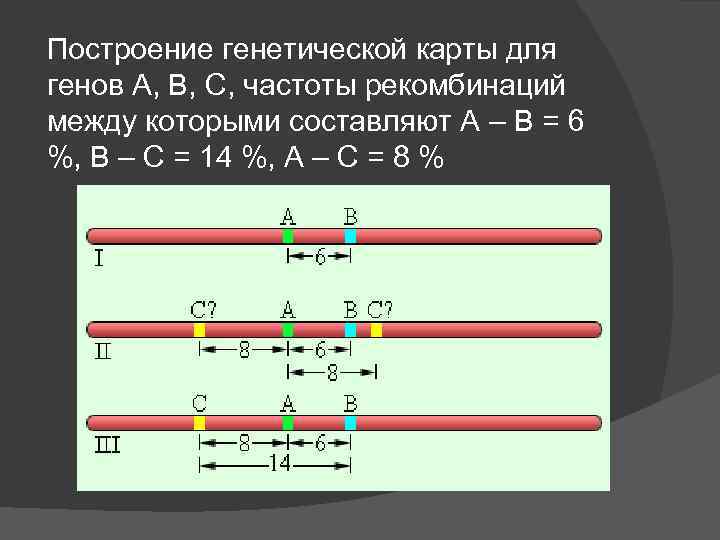 Между генами. Построение генетической карты. Частота рекомбинации между генами. Построение генетической карты хромосомы. Последовательность составления генетических карт.