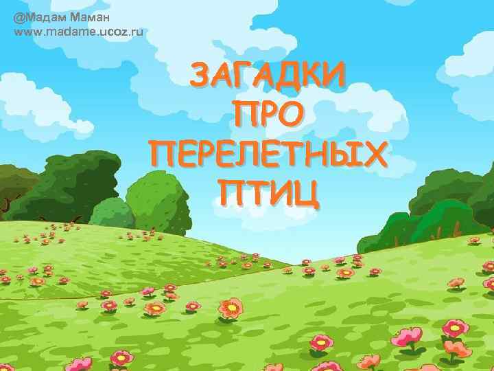 @Мадам Маман www. madame. ucoz. ru ЗАГАДКИ ПРО ПЕРЕЛЕТНЫХ ПТИЦ 