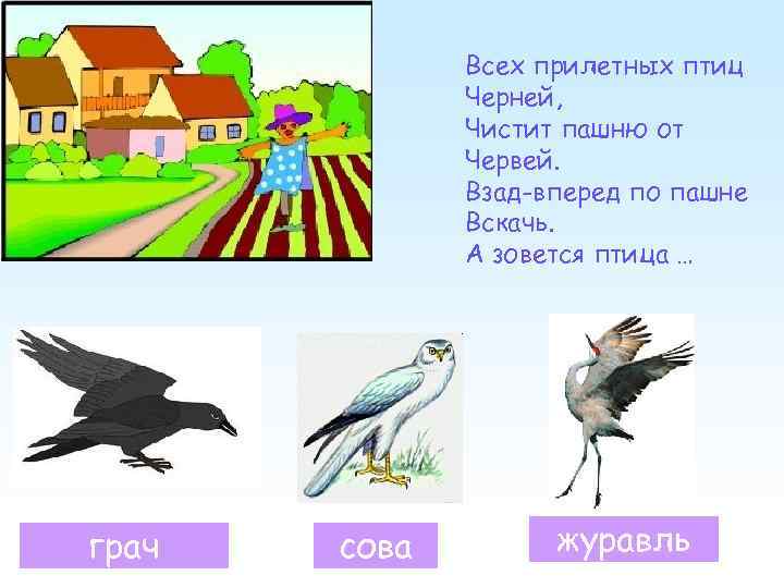 Всех прилетных птиц Черней, Чистит пашню от Червей. Взад-вперед по пашне Вскачь. А зовется