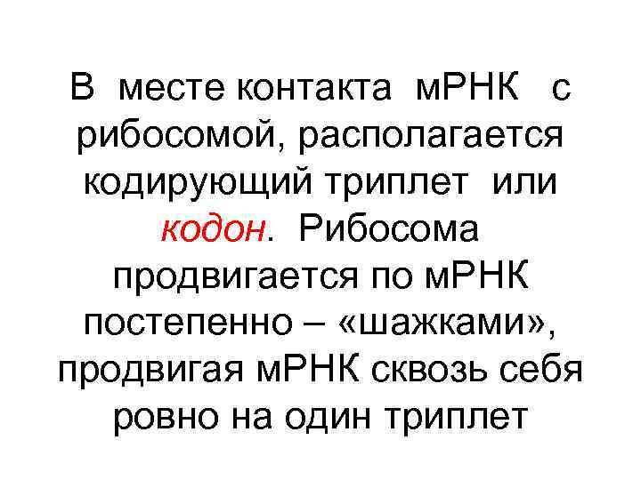В месте контакта м. РНК с рибосомой, располагается кодирующий триплет или кодон. Рибосома продвигается