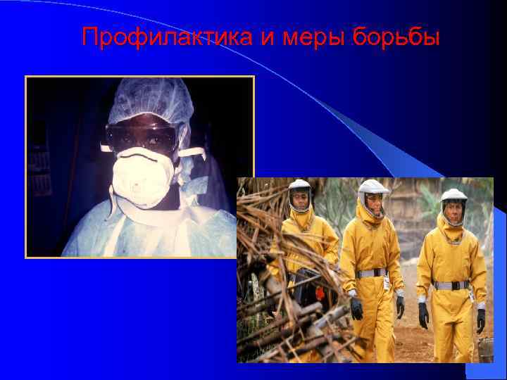 Профилактика и меры борьбы 