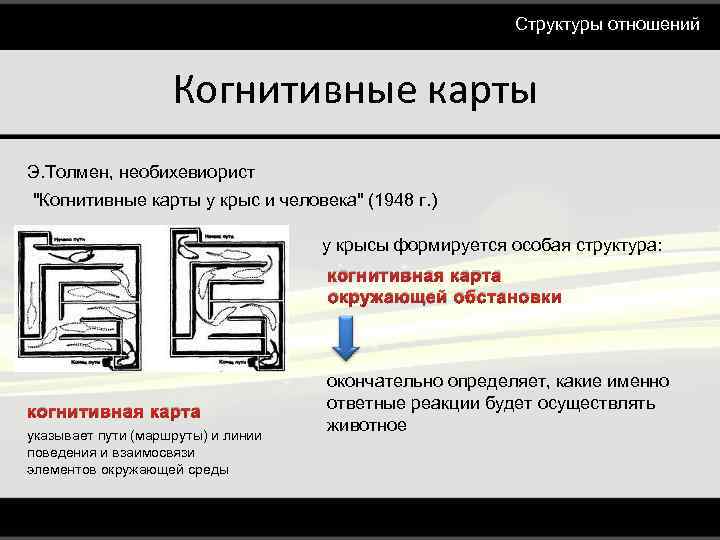 Когнитивная карта толмена