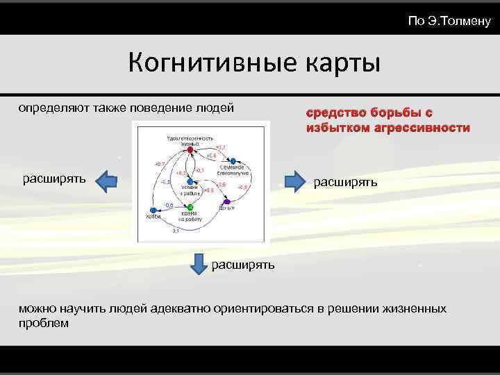 Когнитивная карта толмена