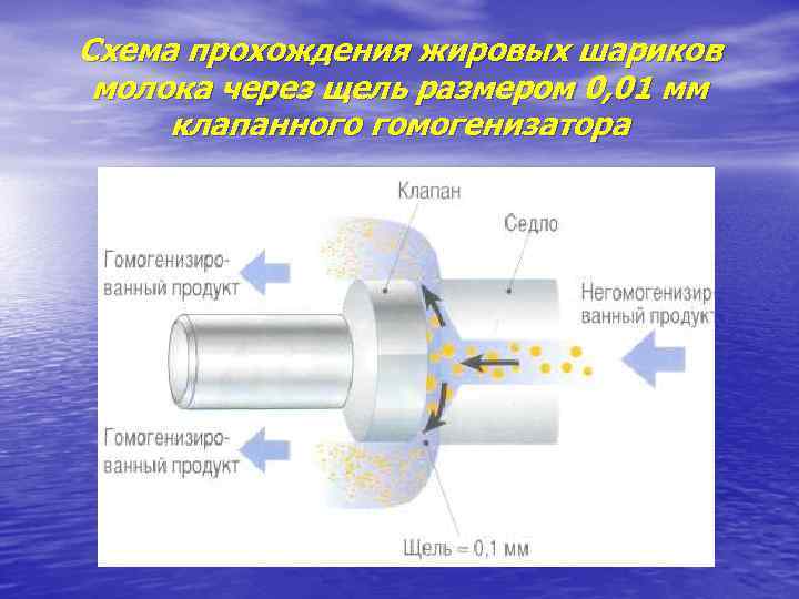 Схема прохождения жировых шариков молока через щель размером 0, 01 мм клапанного гомогенизатора 
