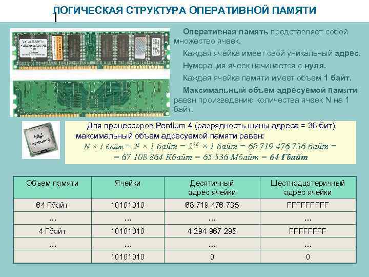 ЛОГИЧЕСКАЯ СТРУКТУРА ОПЕРАТИВНОЙ ПАМЯТИ Оперативная память представляет собой множество ячеек. Каждая ячейка имеет свой
