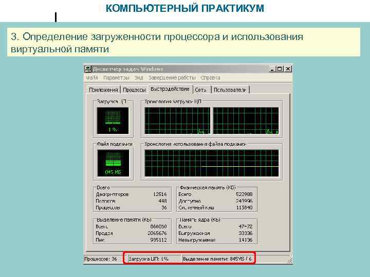 КОМПЬЮТЕРНЫЙ ПРАКТИКУМ 3. Определение загруженности процессора и использования виртуальной памяти 