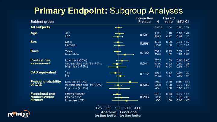 Primary Endpoint: Subgroup Analyses 