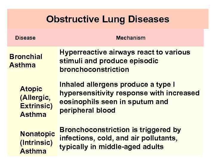 Obstructive Lung Diseases Disease Bronchial Asthma Mechanism Hyperreactive airways react to various stimuli and