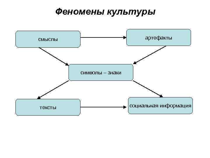 Морфология культуры