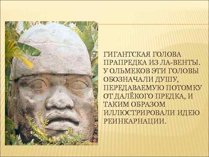 ГИГАНТСКАЯ ГОЛОВА ПРАПРЕДКА ИЗ ЛА-ВЕНТЫ. У ОЛЬМЕКОВ ЭТИ ГОЛОВЫ ОБОЗНАЧАЛИ ДУШУ, ПЕРЕДАВАЕМУЮ ПОТОМКУ ОТ