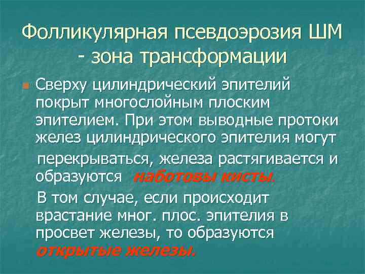 Фолликулярная псевдоэрозия ШМ - зона трансформации n Сверху цилиндрический эпителий покрыт многослойным плоским эпителием.