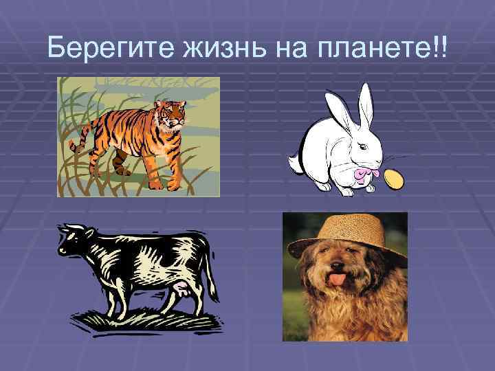 Берегите жизнь на планете!! 