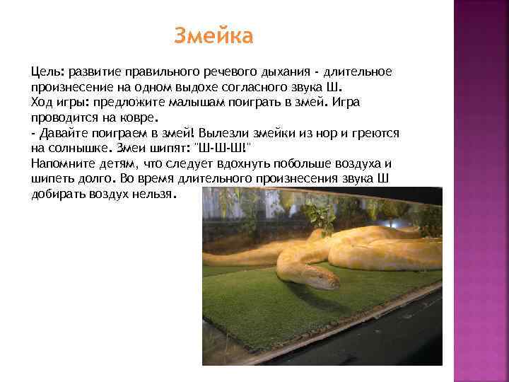 Змейка Цель: развитие правильного речевого дыхания - длительное произнесение на одном выдохе согласного звука