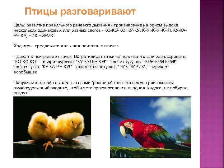 Птицы разговаривают Цель: развитие правильного речевого дыхания - произнесение на одном выдохе нескольких одинаковых