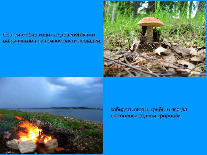 Сергей любил ходить с деревенскими мальчишками на ночное пасти лошадей, собирать ягоды, грибы и