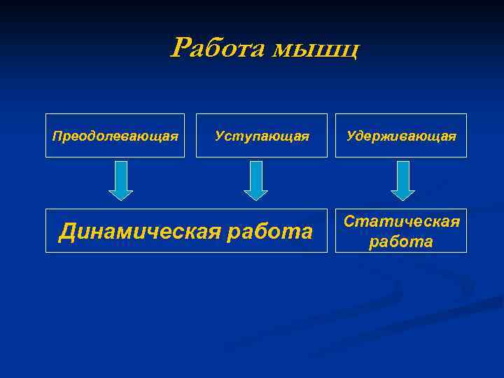 Динамическая работа мышц. Преодолеваюшая раьоту мышц. Уступающая работа мышц примеры. Преодолевающая уступающая и удерживающая работа мышц. Преодолевающая работа мышц примеры.