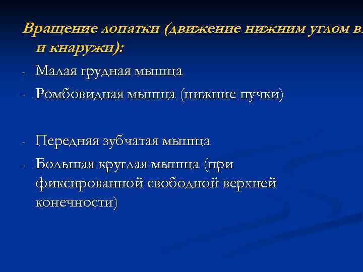 Вращение лопатки (движение нижним углом вн и кнаружи): - - Малая грудная мышца Ромбовидная