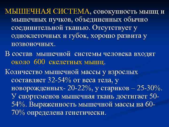 МЫШЕЧНАЯ СИСТЕМА, совокупность мышц и мышечных пучков, объединенных обычно соединительной тканью. Отсутствует у одноклеточных