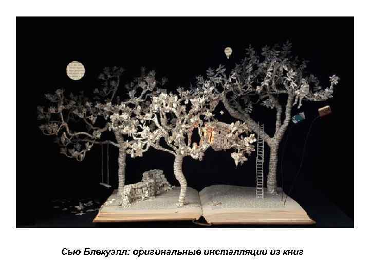 Сью Блекуэлл: оригинальные инсталляции из книг 