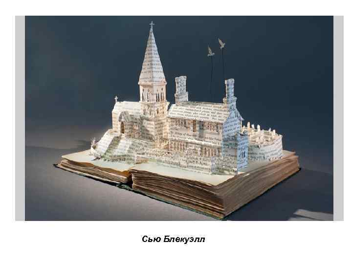 Сью Блекуэлл 