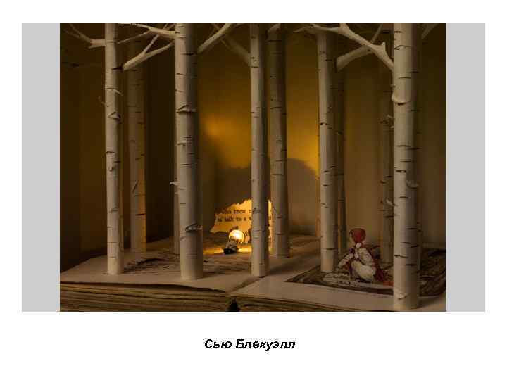 Сью Блекуэлл 