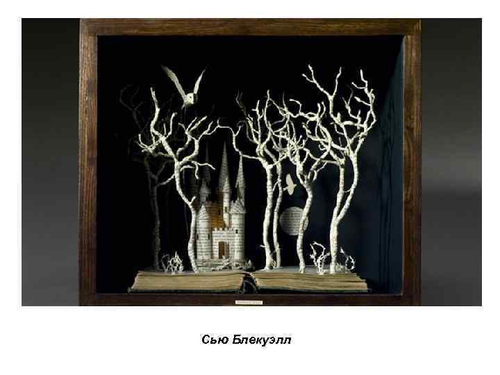 Сью Блекуэлл 