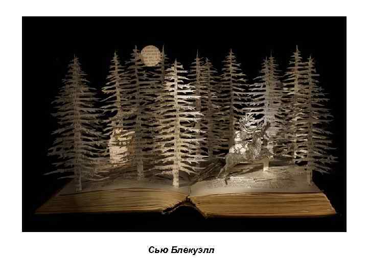 Сью Блекуэлл 