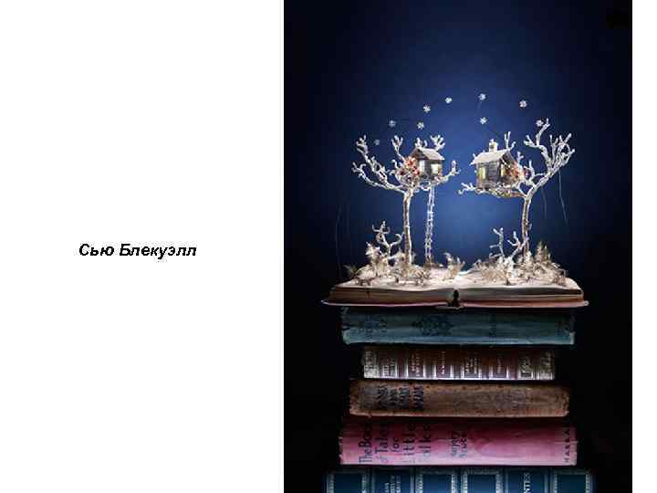 Сью Блекуэлл 