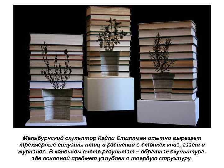 Мельбурнский скульптор Кайли Стиллмен опытно вырезает трехмерные силуэты птиц и растений в стопках книг,