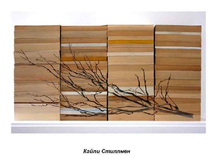 Кайли Стиллмен 