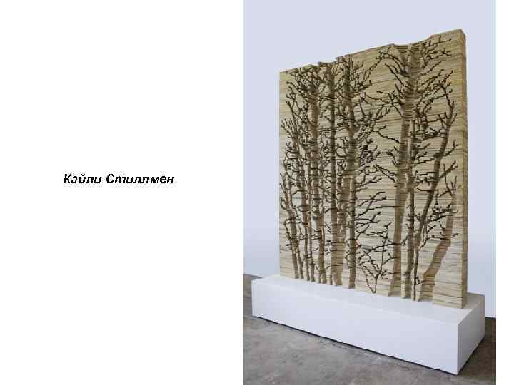 Кайли Стиллмен 