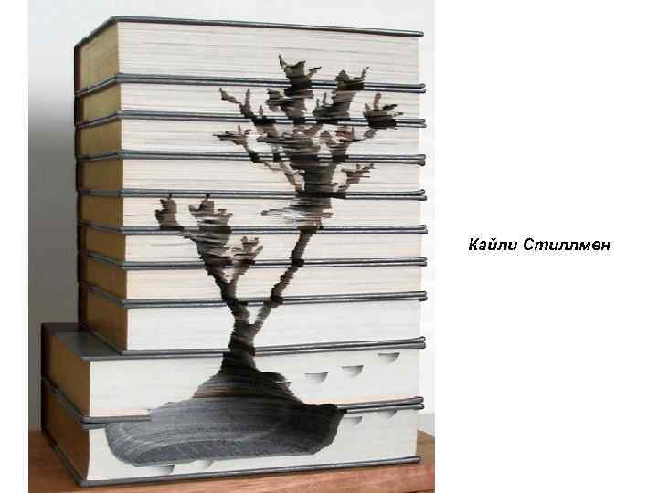 Кайли Стиллмен 