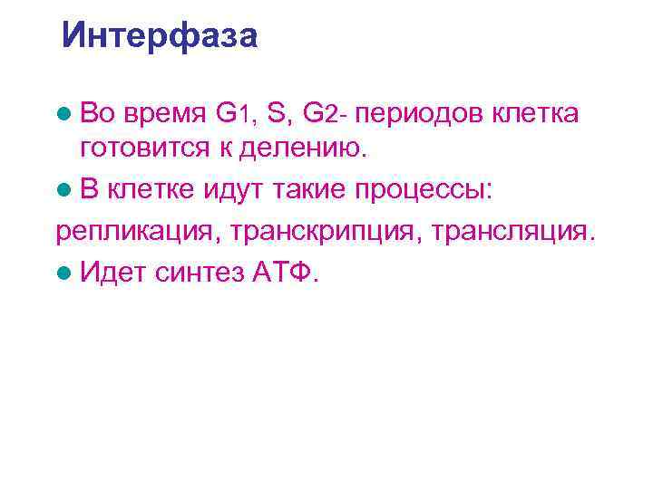 Интерфаза l Во время G 1, S, G 2 - периодов клетка готовится к
