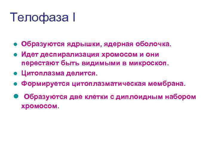 Телофаза I Образуются ядрышки, ядерная оболочка. l Идет деспирализация хромосом и они перестают быть