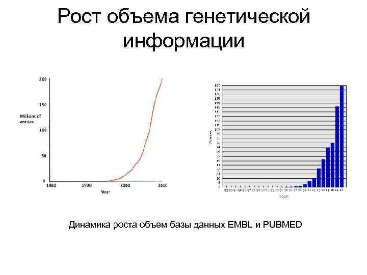 Количество база