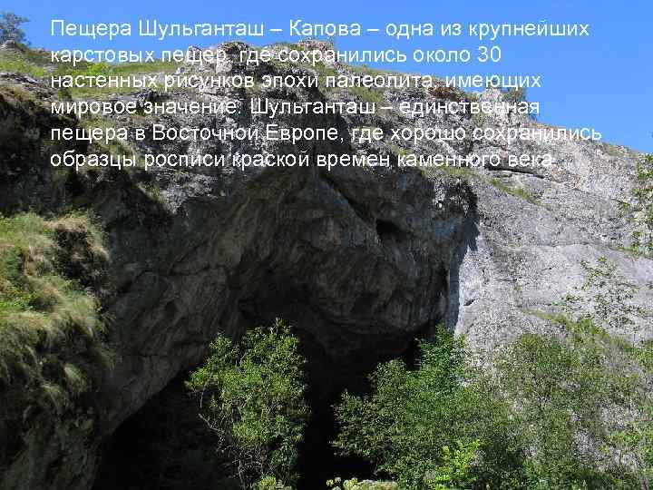 Пещера Шульганташ – Капова – одна из крупнейших карстовых пещер, где сохранились около 30