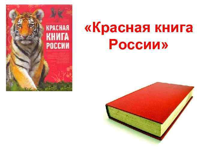  «Красная книга России» 