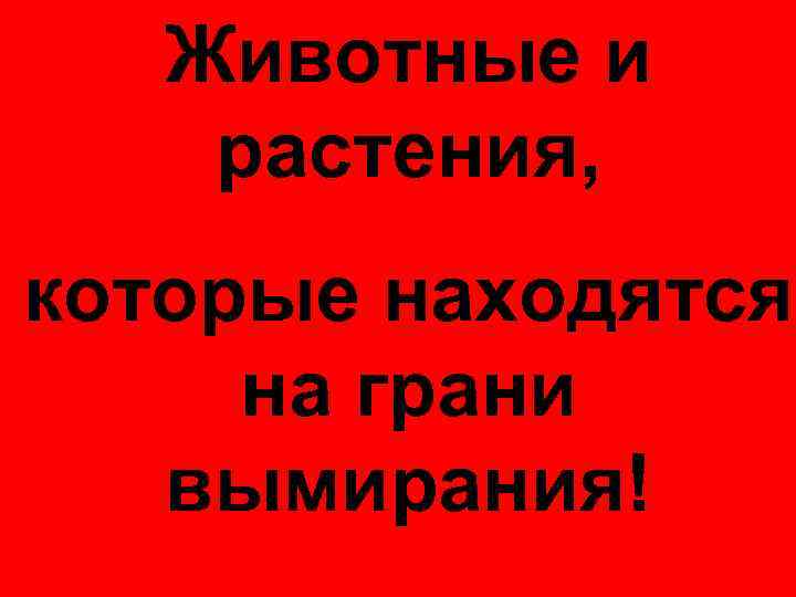 Животные и растения, которые находятся на грани вымирания! 