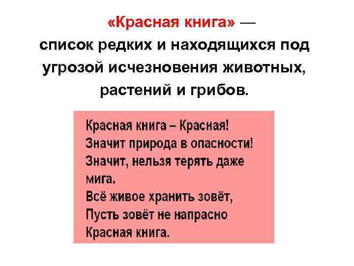  «Красная книга» — список редких и находящихся под угрозой исчезновения животных, растений и
