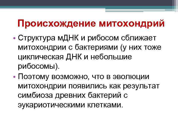 Происхождение митохондрий • Структура м. ДНК и рибосом сближает митохондрии с бактериями (у них