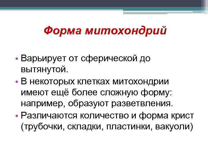 Форма митохондрий • Варьирует от сферической до вытянутой. • В некоторых клетках митохондрии имеют