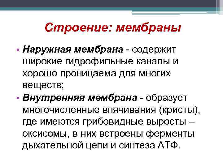 Строение: мембраны • Наружная мембрана - содержит широкие гидрофильные каналы и хорошо проницаема для