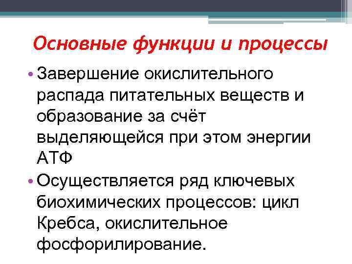 Основные функции и процессы • Завершение окислительного распада питательных веществ и образование за счёт